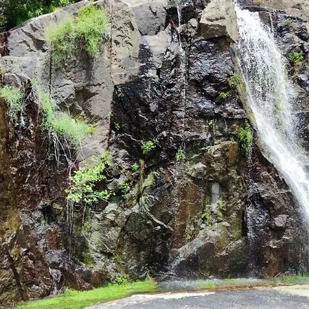 Pena Da Osa * Собер