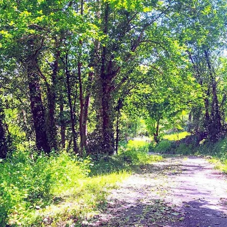 Дом отдыха Pena Da Osa *