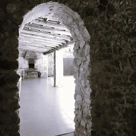 Pena Da Osa