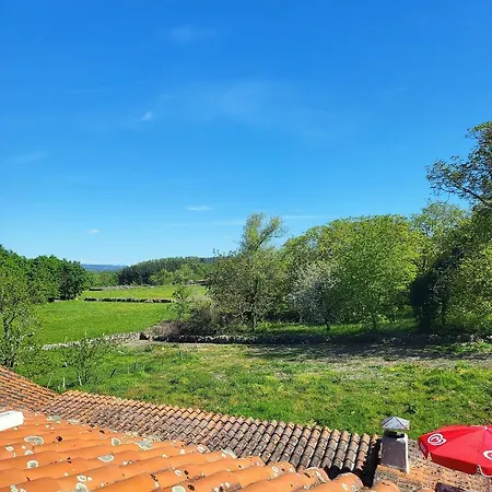 Pena Da Osa