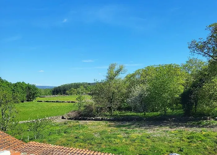 Pena Da Osa